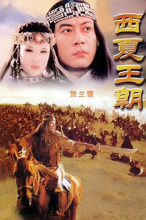 贺兰雪 (1995) poster