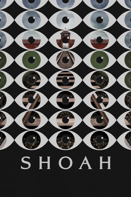 Shoah (1985) poster
