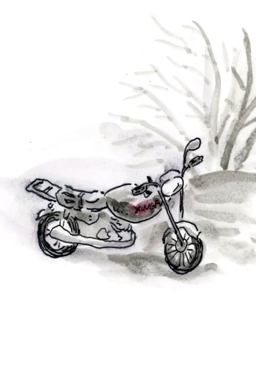 The Story of a Motorbike (2017) poster