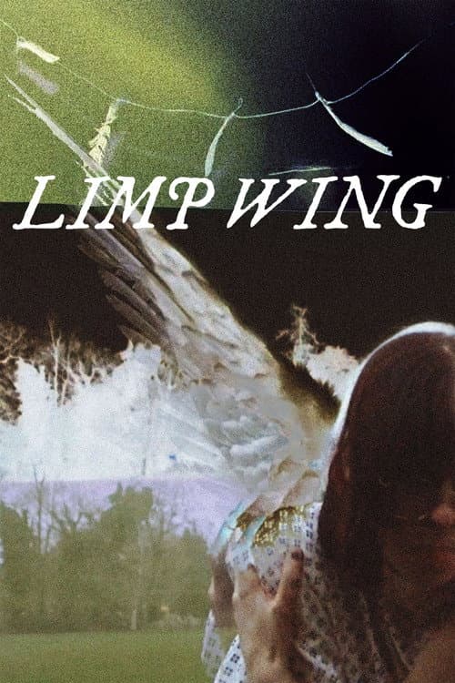 Limp Wing poster
