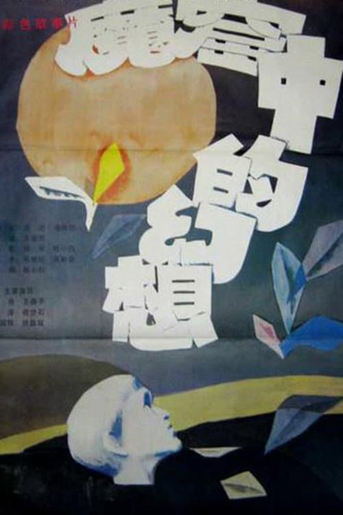 Visions from a Jail Cell (1986) poster