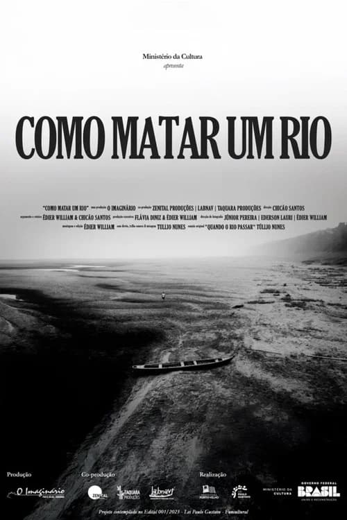 Como Matar um Rio poster