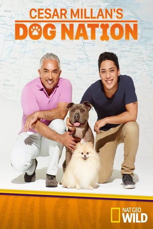 Cesar Millan's Dog Nation (2017) poster