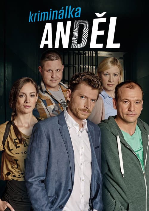 Kriminálka Anděl (2008) poster