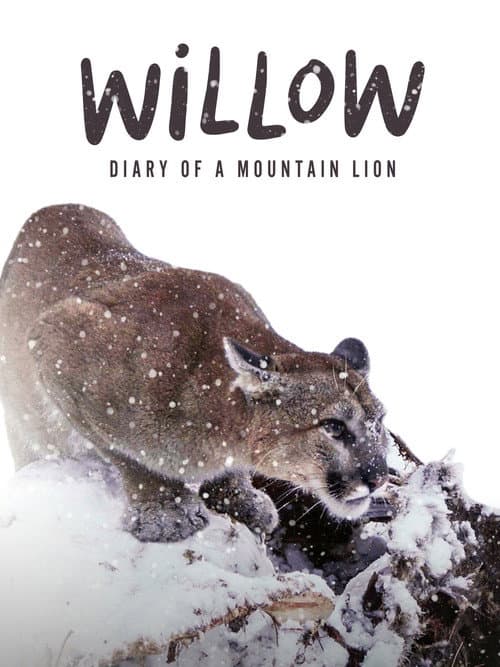 Willow: Diary of a Mountain Lion poster