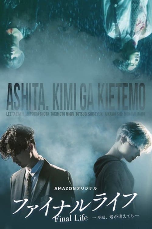 Final Life (2017) poster