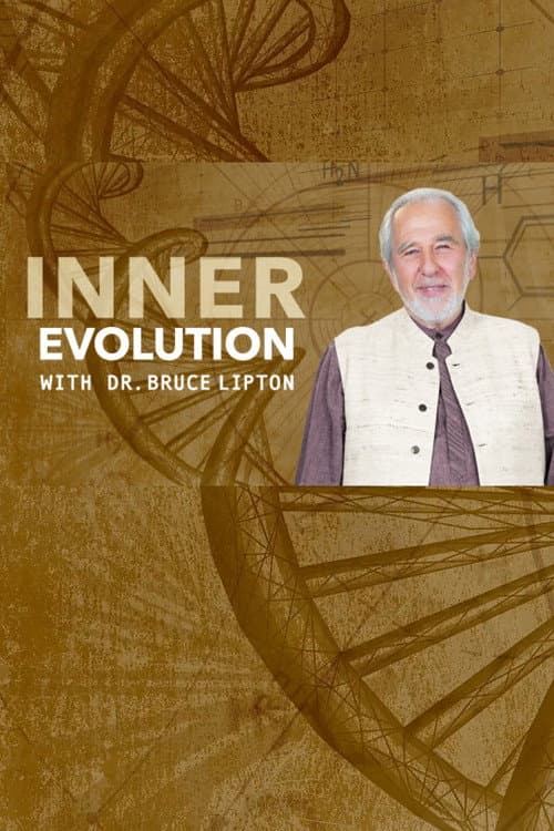 Inner Evolution (2020) poster