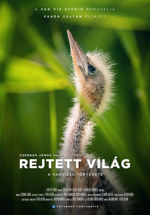 Hidden World: The Story of Hungary's Wild Waters (2023) poster