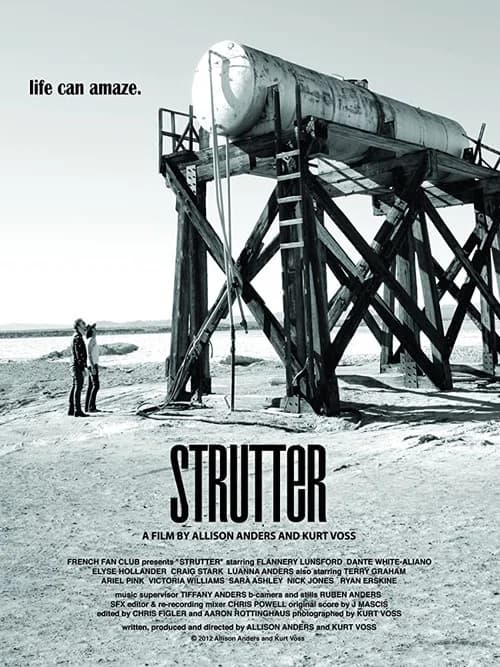 Strutter (2013) poster
