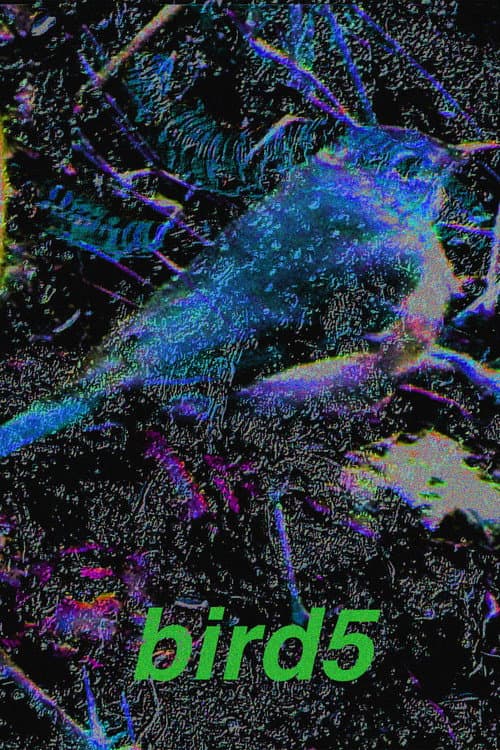 bird5.mp4 (2025) poster