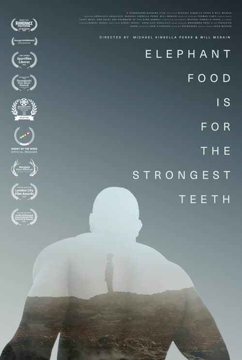 Elephant Food Is for the Strongest Teeth poster
