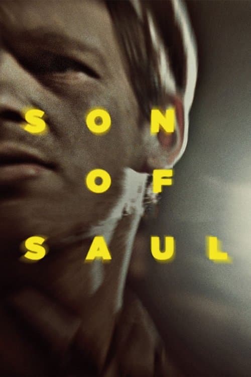 Son of Saul (2015) poster