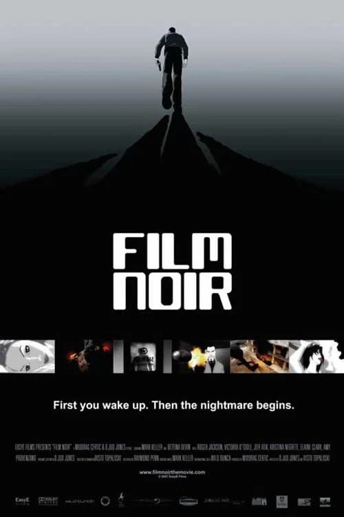Film Noir poster