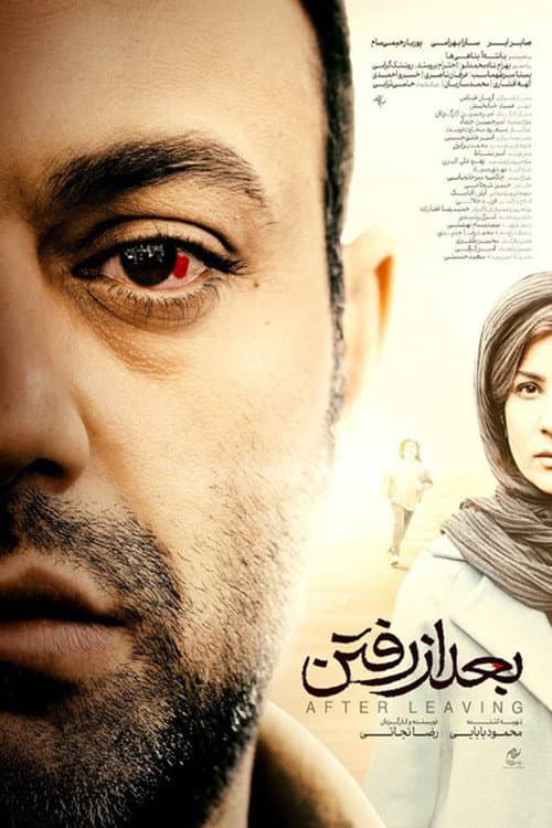 After Leaving (2023) poster
