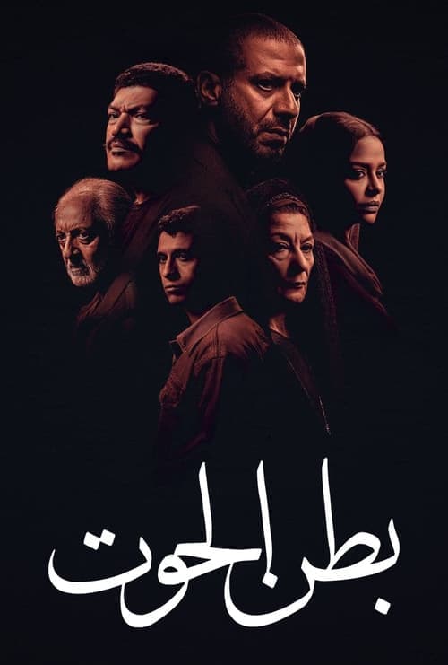 Belly of the Whale (2023) poster