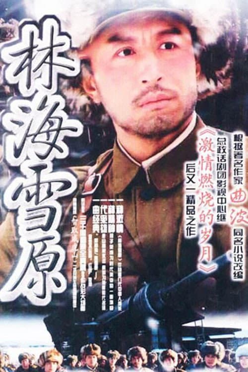 林海雪原 (2004) poster