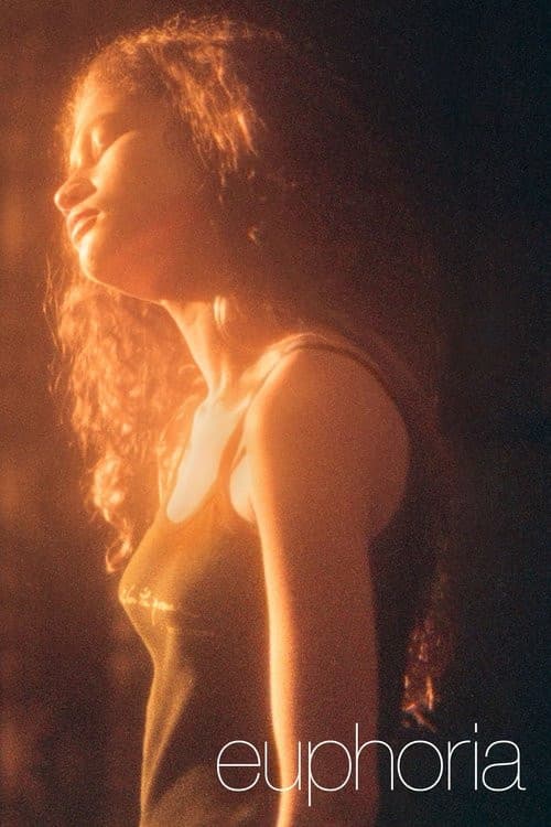 Euphoria: A Look Back (2026) poster