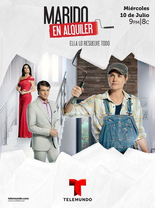 Husband for Rent aka Husband for Hire (2013) poster