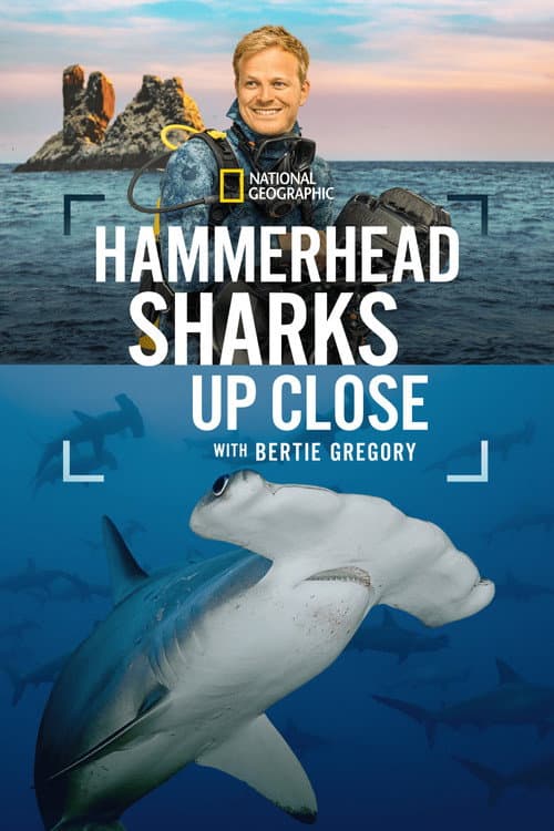 Hammerhead Sharks Up Close with Bertie Gregory (2026) poster