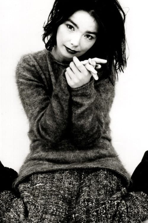 Björk's Greatest Hits: Volumes 1993-2003 poster
