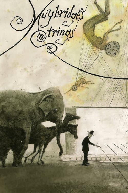 Muybridge's Strings poster