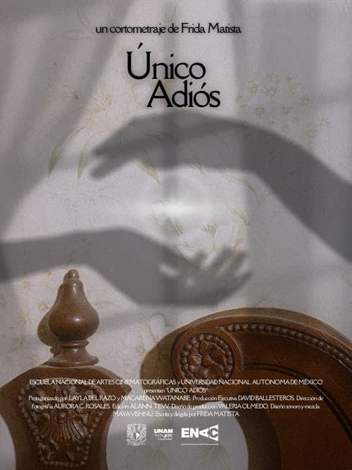 The Last Goodbye (2025) poster