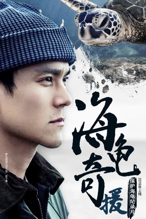 海龟奇援 (2019) poster