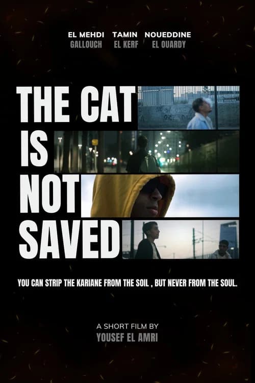 The cat is not saved poster