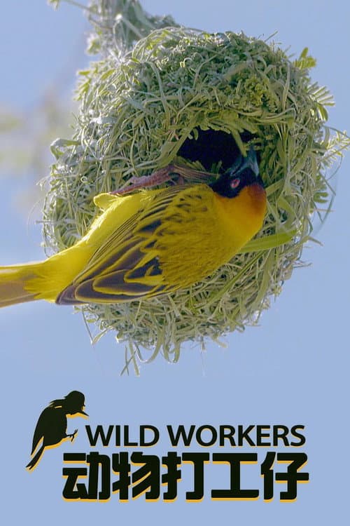 Wild Workers (2021) poster
