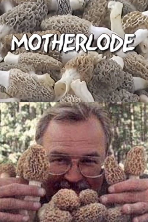 Motherlode poster