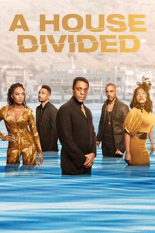 A House Divided (2019) poster