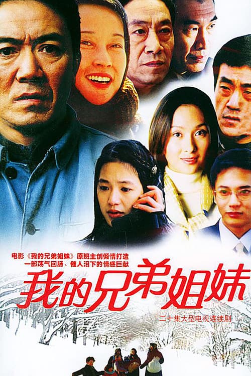 我的兄弟姐妹 (2004) poster