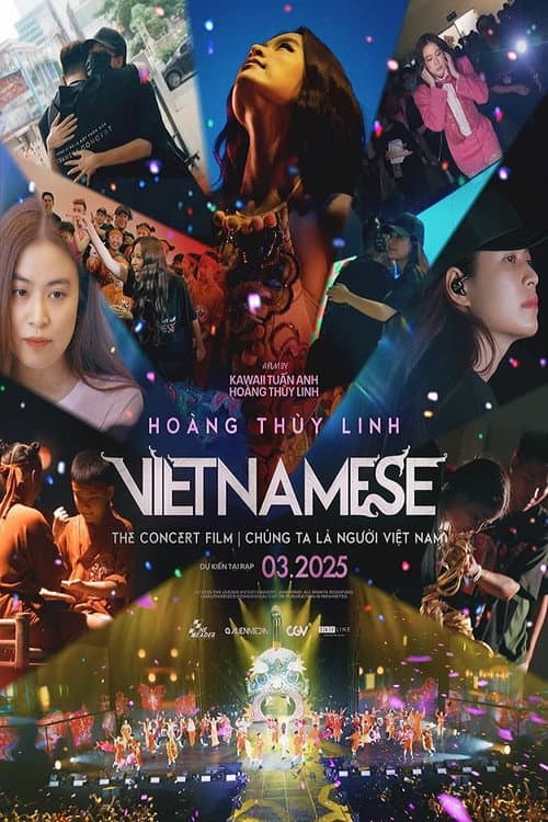 The Vietnamese Concert Film (2025) poster