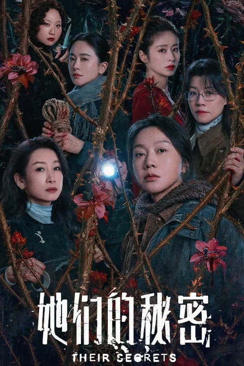 Their Secrets poster