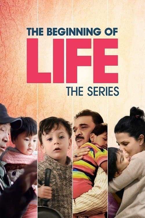 The Beginning of Life: The Series (2016) poster