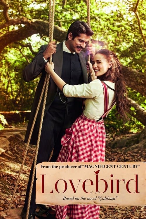 Lovebird (2013) poster
