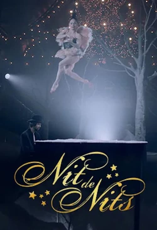 Nit de nits (2020) poster