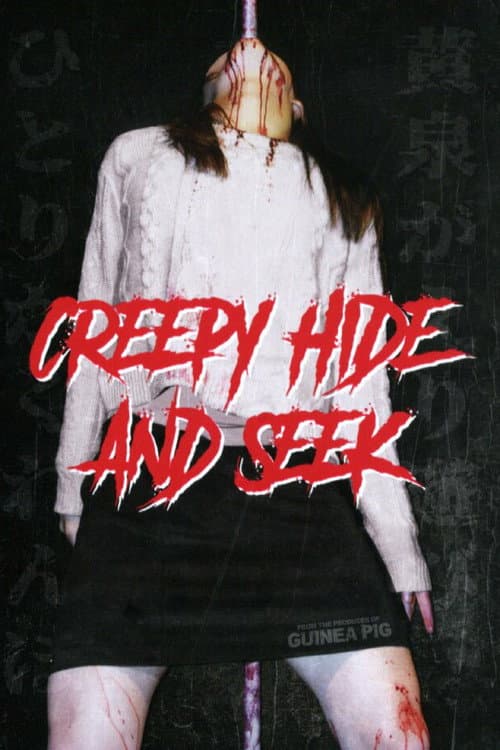 Creepy Hide and Seek (2009) poster