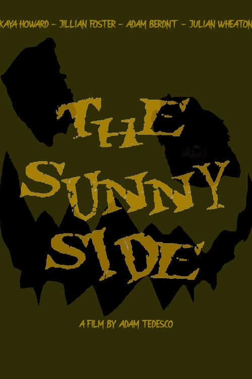 The Sunny Side (2026) poster