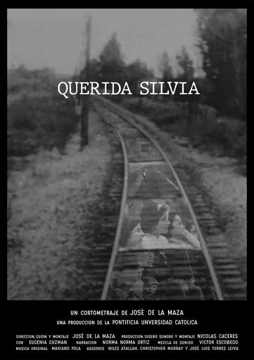 Dear Silvia (2021) poster