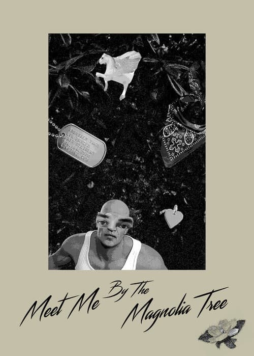 Meet Me By The Magnolia Tree poster