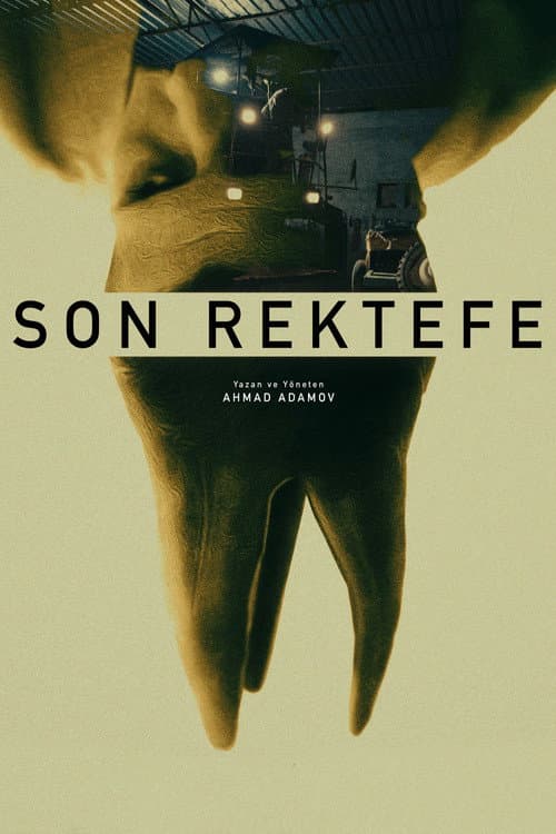 Final Repair poster