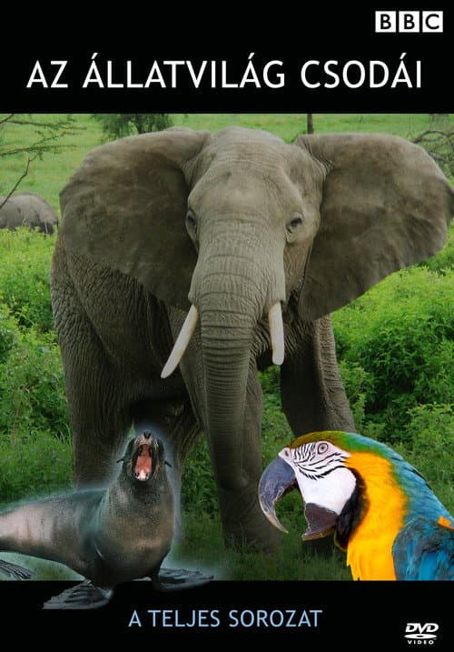 Extraordinary Animals (2008) poster