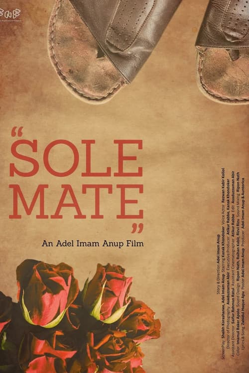 SOLE MATE (2026) poster