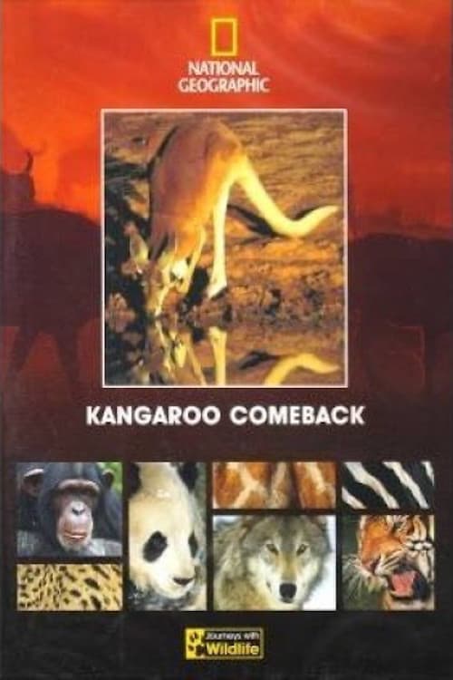 Kangaroo Comeback (1998) poster