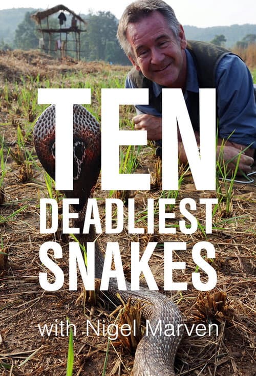 Ten Deadliest Snakes with Nigel Marven (2014) poster