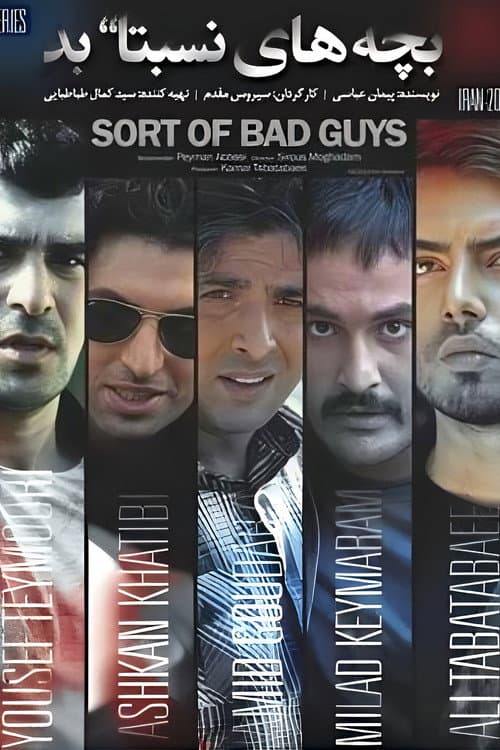 Relatively Bad Guys (2013) poster