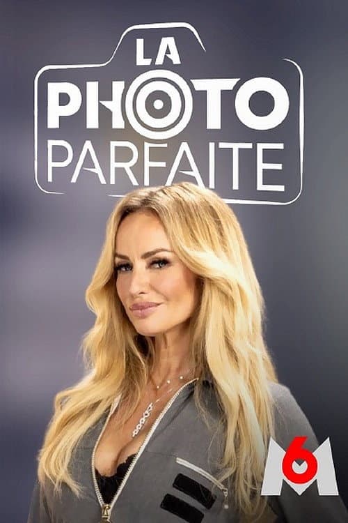 La Photo parfaite poster