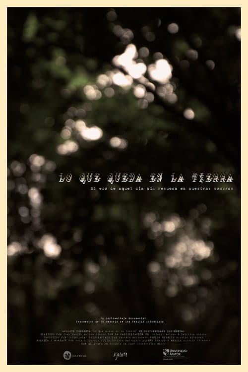 Lo Que Queda en la Tierra poster