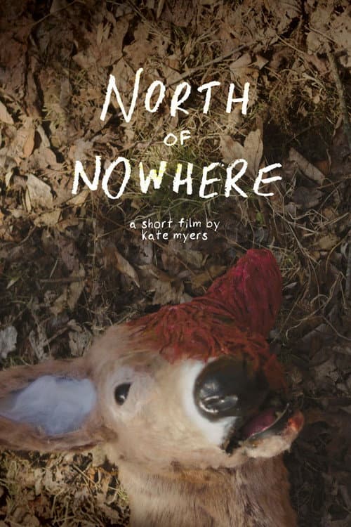 North of Nowhere (2026) poster